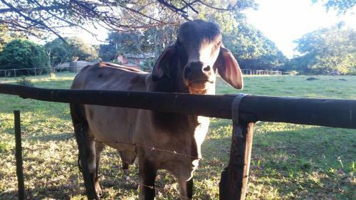 Seaforth Farm B&B