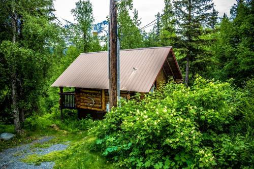 Lodge Midnight Sun Log Cabins