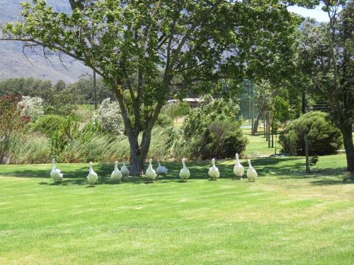 Seven Oaks Vineyard Cottages