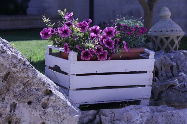 Bed & Breakfast La Suite Nel Bosco