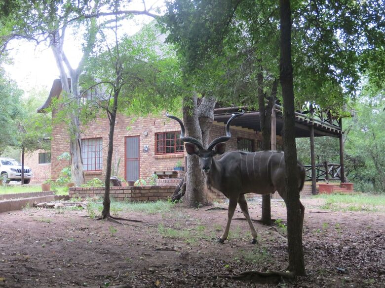 Rafiki's Resthouse