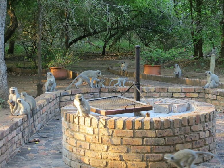 Rafiki's Resthouse