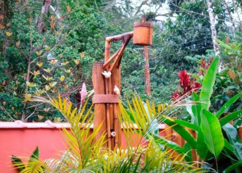 Hostal Pousada Novos Ventos Itamambuca
