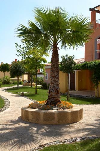 Hotel Agave Apartments