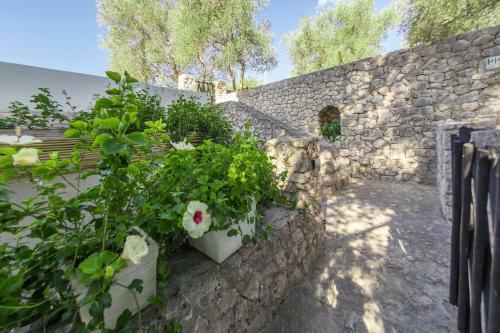 Apartamento Residenza La Cicala