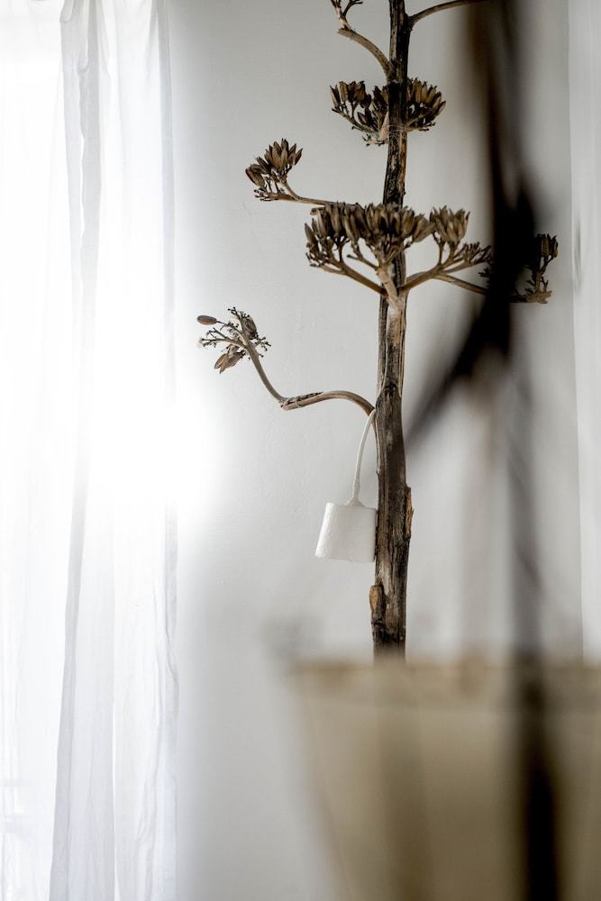 Bed & Breakfast La Maison Sur La Place