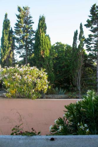 Northsardinia Residence