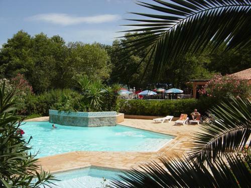 Camping Benista