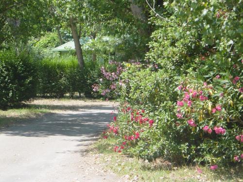 Camping Benista