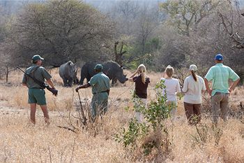 Hotel Rhino Walking Safaris