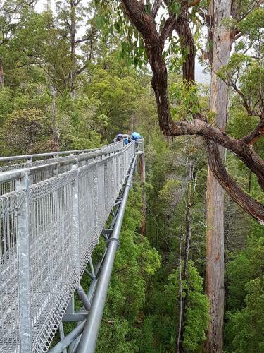 Albergue Tahune Airwalk Lodge