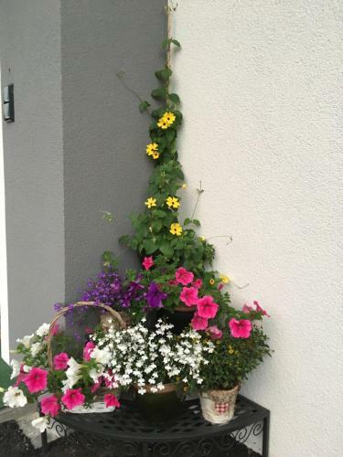 Apartamento Kitz Juwel