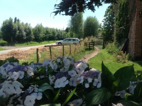 Agroturismo B&B Country Heart