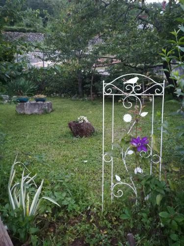Apartment Belici