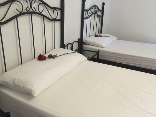 Albergue Rosalia / Pilgrim Hostel