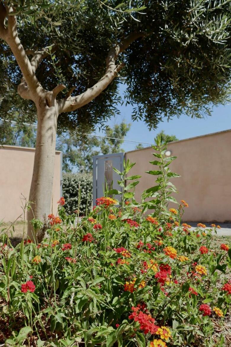 Hostal Monnalisa Village