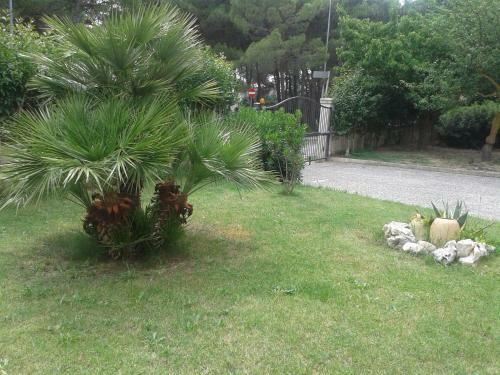 B&B Sant'agnese