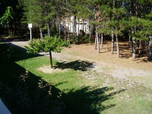 Domaine Moulin Thoulouzes