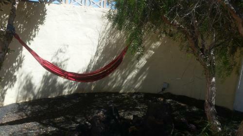 Casita De Gato