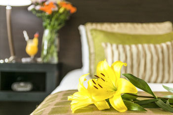Studio Hotel