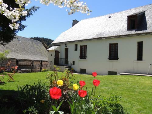 Hotel H�tel Restaurant Du Plomb Du Cantal