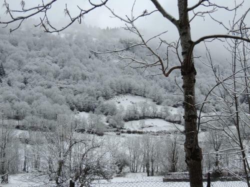 Hotel H�tel Restaurant Du Plomb Du Cantal