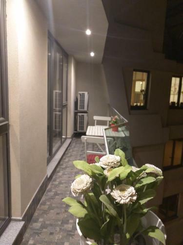 Super Central Luxury Apartment Burgas