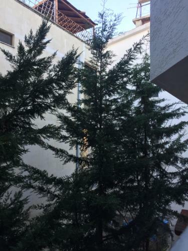 Apartment Tafilaj