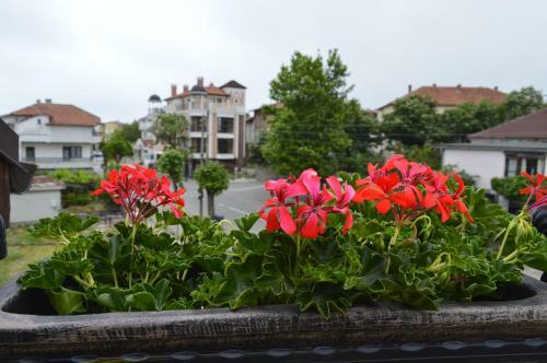 Two-bedroom Apartment With Garden