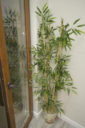 Two-bedroom Apartment With Garden
