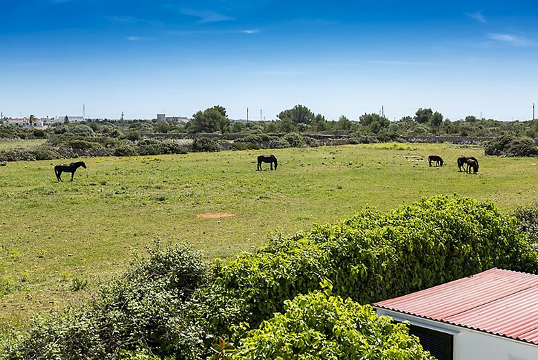 Apartamento Casas Menorquinas
