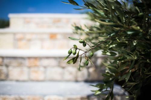 Apulia Relais