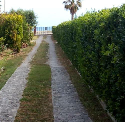 Apartamento Brolium