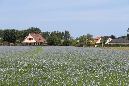Bed & Breakfast Chambre D'hotes Le Clos Fleuri