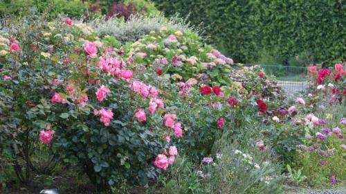 Bed & Breakfast Chambre D'hotes Le Clos Fleuri