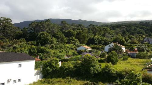Apartamento Casav�