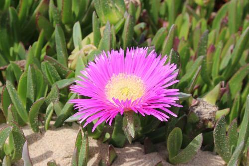 Terra Da Eira - Western Algarve Mit Glasfaser Fibra