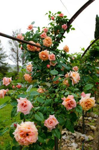 Bed & Breakfast Casa Cerqua Landi