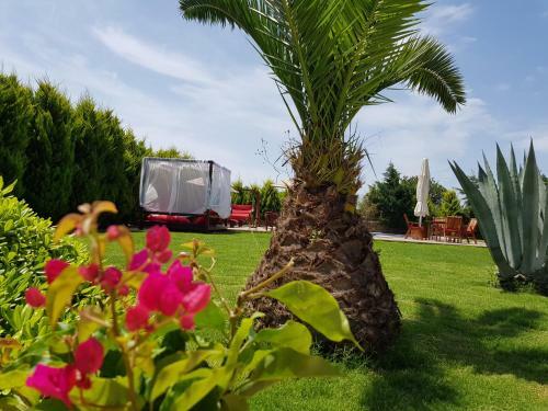 Bed & Breakfast Villa Kizlan Ova