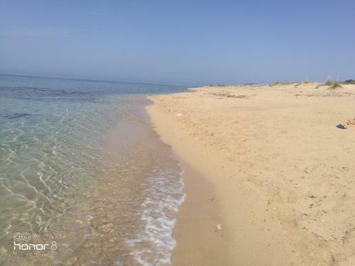 B&B Forim�a
