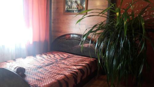 Hostal Dobryy Nizhniy