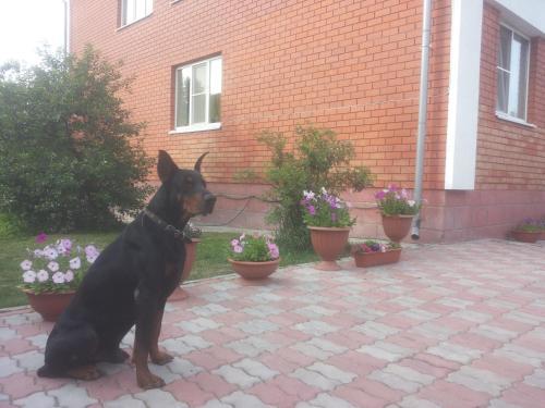 Hostal Dobryy Nizhniy