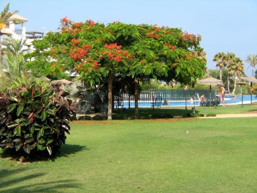 Apartamento Vera Playa Jardines I4-0a