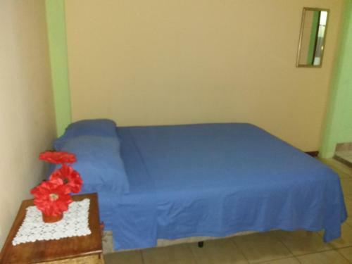 Bed & Breakfast Hostal San Antonio