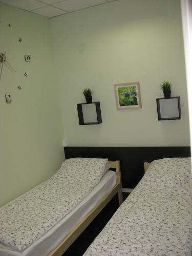 Razliv Zaliv Hostel & Hotel