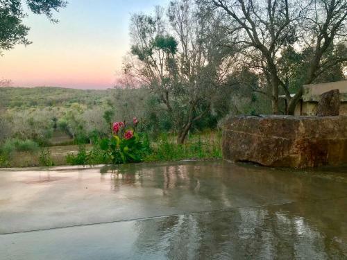 Le Palombelle Casa Vacanze