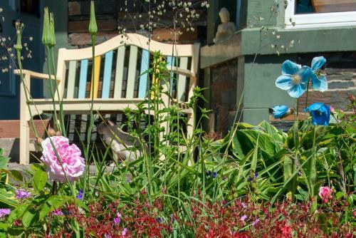 The Mount B&B
