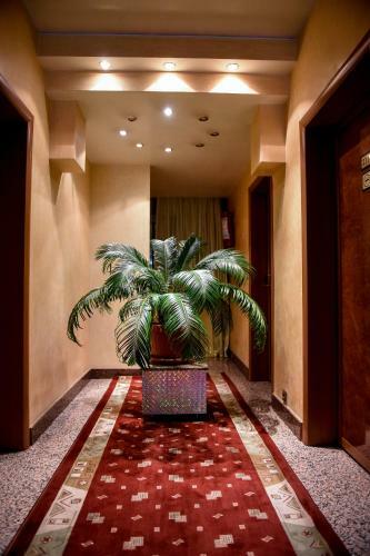 Hotel Carpati