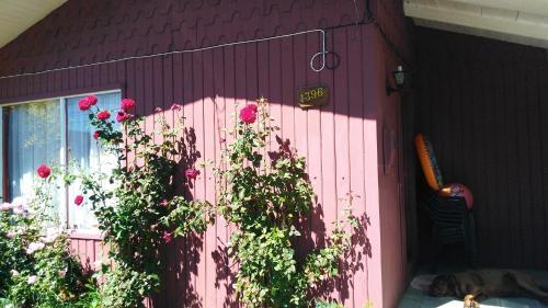 Hostal Casa De Gio