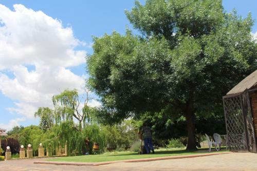 Hostal The Willow Tree Guesthouse